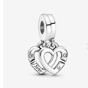 Linked Sister Hearts Split Dangle Charm 799538